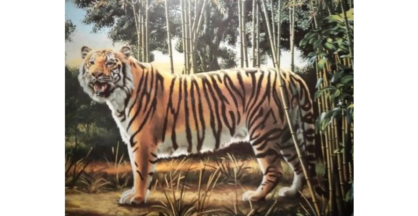 Klicke auf die Grafik für eine vergrößerte Ansicht

Name: tiger.jpg
Ansichten: 134
Größe: 201,0 KB
ID: 375