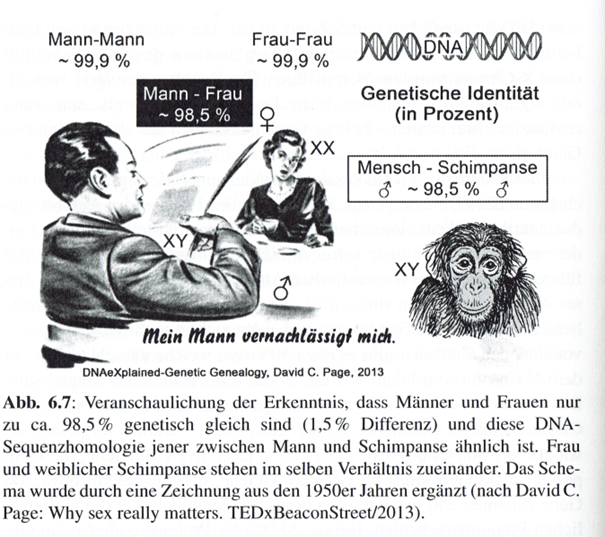Klicke auf die Grafik für eine vergrößerte Ansicht

Name: grafik.png
Ansichten: 90
Größe: 466,6 KB
ID: 1255