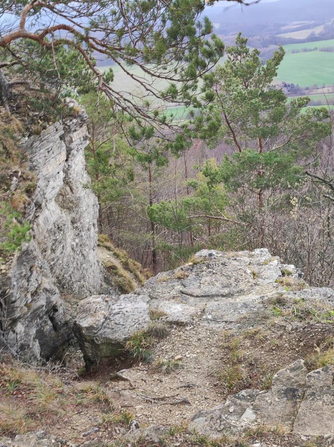 Klicke auf die Grafik für eine vergrößerte Ansicht  Name: Hörselberg_Tannhäuserhöhlenzugang.jpg Ansichten: 0 Größe: 181,7 KB ID: 2897