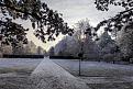 Westfriedhof_181222.jpg